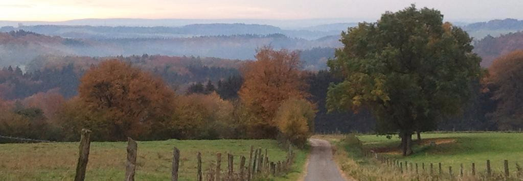 Herbst in der Eifel 