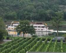 Moselblick