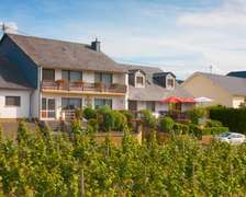Pension und Weingut Moselblick