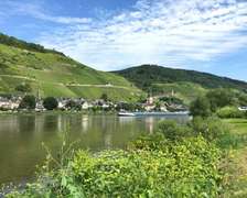 Mosel Ferienhaus Zell