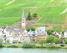 Ferienhaus Moselmerle