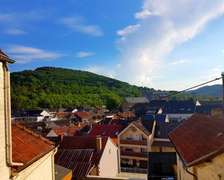 Ein Trip in die Natur