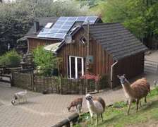 Funny-Farm